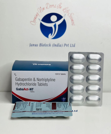 PCD Pharma Franchise Company and 3rd Party Manufacturing Supplier Distributor for Gabapentin & Nortriptyline Hydrochloride Tablets 1