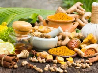 Top Ayurvedic PCD Companies