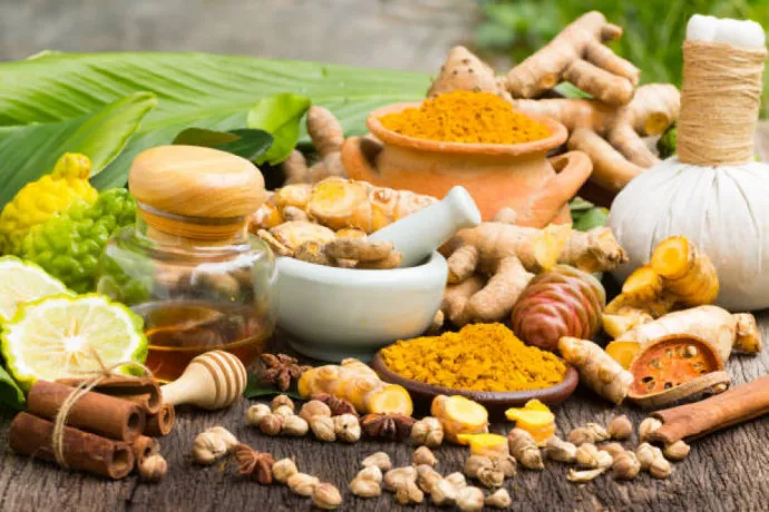 Top Ayurvedic PCD Companies 1