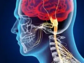 Neuro Psychiatric PCD Pharma Companies