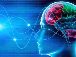 Neuropsychiatry products franchise