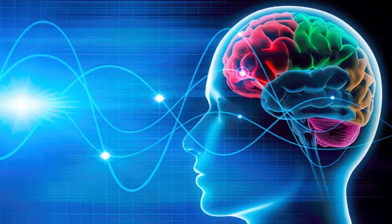 Neuropsychiatry products franchise 1