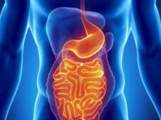 Pharma PCD Franchise for Gastro Medicine