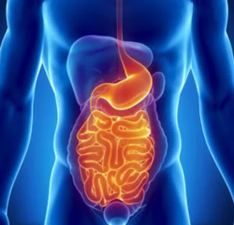 Pharma PCD Franchise for Gastro Medicine 1