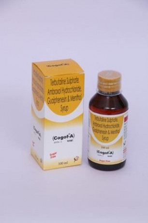 Pharma Franchise Company for Dry Syrups 1