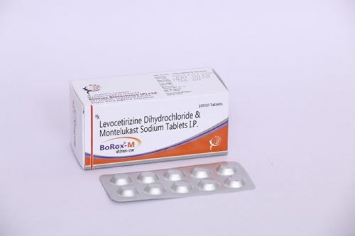 Levocetirizine 5 Mg + Montelukast 10 Mg 1