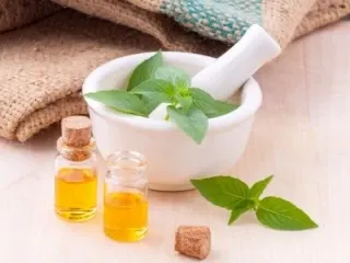 Ayurvedic Companies for Franchise