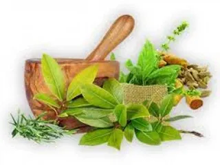Ayurvedic Pcd Pharma Franchise