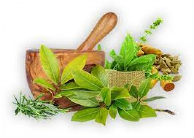 Ayurvedic Pcd Pharma Franchise 1
