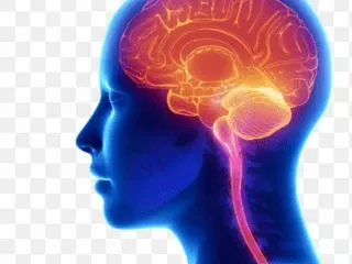 Neuropsychiatry Franchise Company