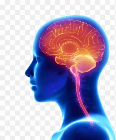 Neuropsychiatry Franchise Company 1