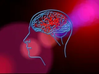 Neuropsychiatry Pharma Franchise