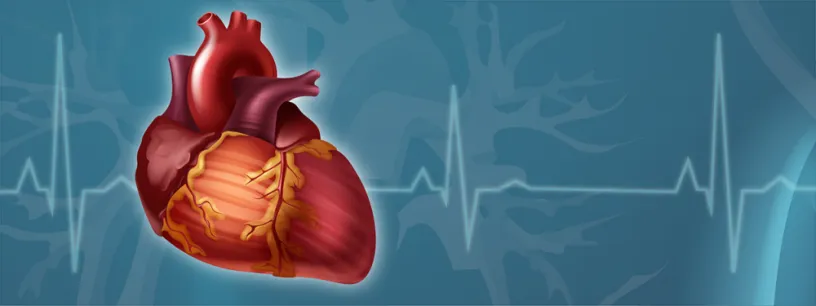 Third Party Manufacturing for Cardiac Diabetic Products 1