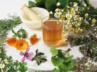 Contract Manufacturing of Herbal Medicines