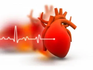 Cardiac Diabetic Products Manufacturing Company