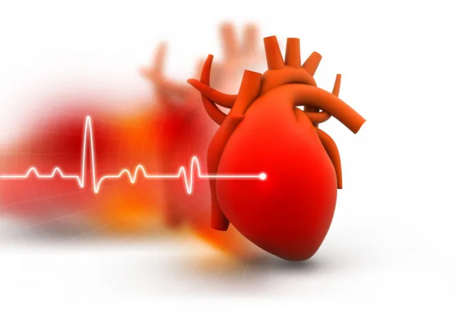 Cardiac Diabetic Products Manufacturing Company 1