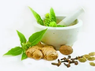 Top Ayurvedic PCD Franchise Companies