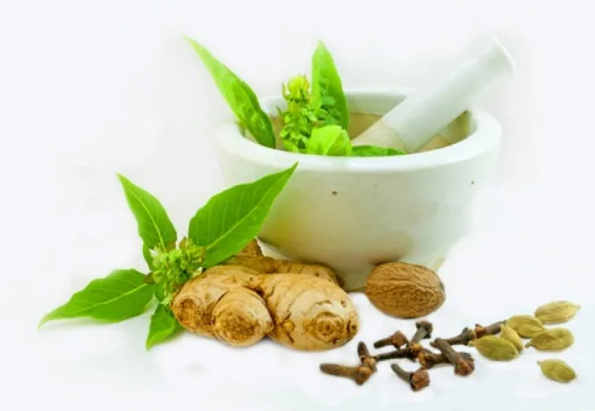 Top Ayurvedic PCD Franchise Companies 1