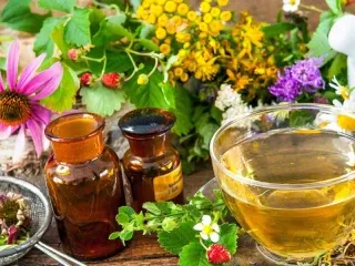 Herbal PCD Pharma Franchise