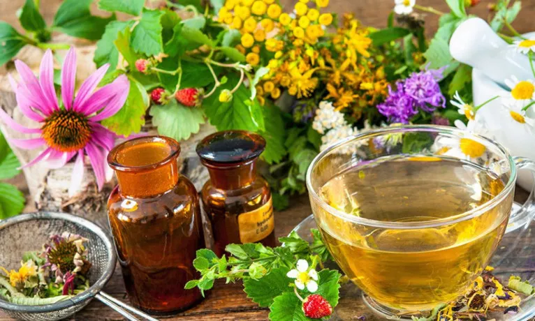 Herbal PCD Pharma Franchise 1
