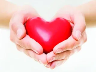 Cardiac Diabetic PCD Pharma Franchise