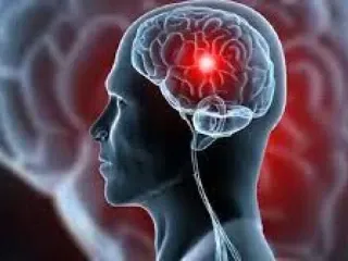 Neuro Psychiatric Pharma Franchise