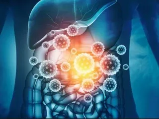Pcd Pharma Franchise Company for Gastro Medicine