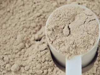 PCD Pharma Franchise For Protein Powder