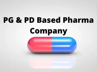 Top Pg Based Franchise Company