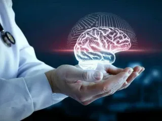 Neuropsychiatrist Pharma Franchise