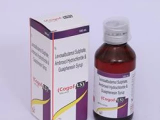 Ambroxol Hcl 30 Mg Levosalbutamol Sulphate 1 Mg Guaiphenesin 50 Mg