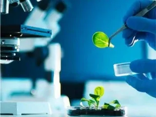 Ayurvedic Medicine Manufacturing Companies