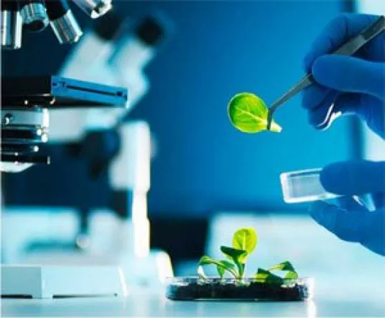 Ayurvedic Medicine Manufacturing Companies 1