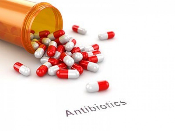 Pharma Franchise for Antibiotic Range 1