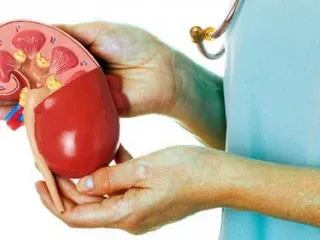 PCD Pharma Franchise Company For Nephrology Range