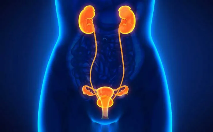 Pharma Franchise For Urological Products 1