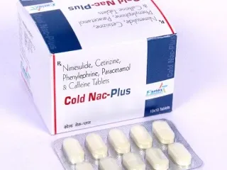Anti Cold Drugs for Pharma Franchise