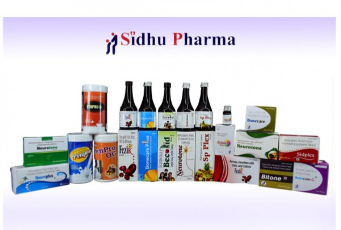 Multivitamin Syrup Manufacturers Company 1