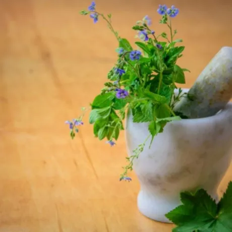 Ayurvedic Range PCD Pharma Franchise Company 1