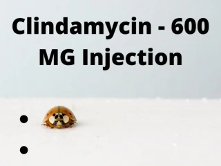 Clindamycin 600 Mg Injection Suppliers