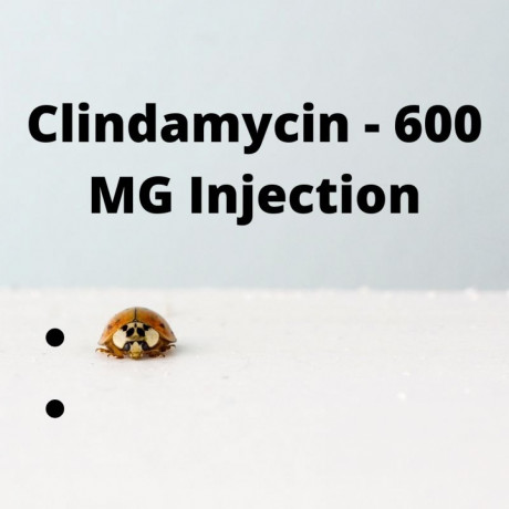 Clindamycin 600 Mg Injection Suppliers 1
