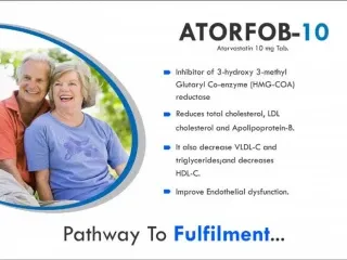 Pharma PCD Franchise Company For Atorvastatin 10 Mg Tablet