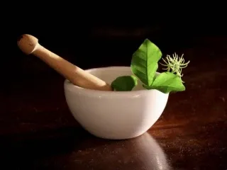Ayurvedic PCD Pharma Franchise Company