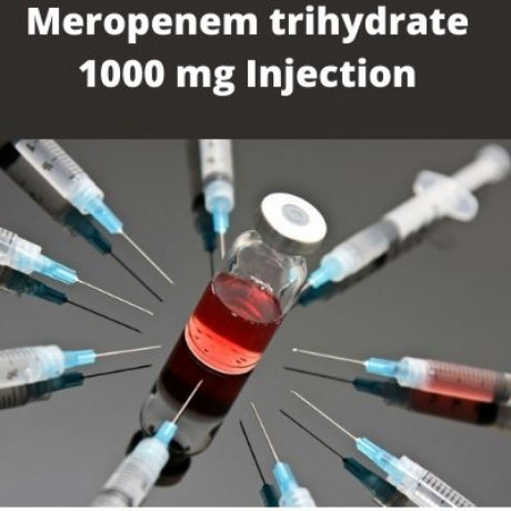 Pharma PCD Franchise Company for Meropenem trihydrate 1000 mg Injection 1