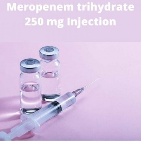 Critical Care Range for Meropenem trihydrate 250 mg Injection 1