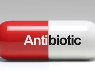 PCD Pharma Company for Antibiotics
