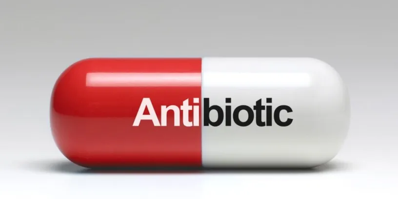PCD Pharma Company for Antibiotics 1