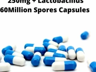 Amoxicillin Capsules- 250mg + Lactobacillus 60Million Spores Capsules Range Distributors