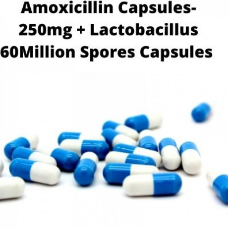 Amoxicillin Capsules 250mg Lactobacillus 60Million Spores Capsules Range Distributors 1