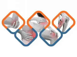 Ortho Products Range Pharma Franchise
